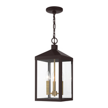 Livex Lighting 20593-07 - Nyack Medium Outdoor Hanging Lantern in Bronze with Antique Brass