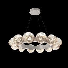 Hammerton CHB0095-36-BS-FA-CA1-L1 - Luna Radial Ring Chandelier