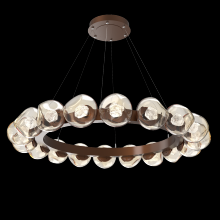 Hammerton CHB0095-48-BB-ZA-CA1-L1 - Luna Radial Ring Chandelier