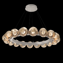 Hammerton CHB0095-48-BS-FB-CA1-L1 - Luna Radial Ring Chandelier