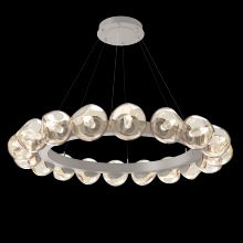 Hammerton CHB0095-48-BS-GA-CA1-L1 - Luna Radial Ring Chandelier