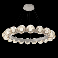 Hammerton CHB0095-48-BS-ZA-CA1-L1 - Luna Radial Ring Chandelier