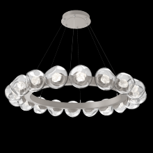 Hammerton CHB0095-48-BS-ZC-CA1-L1 - Luna Radial Ring Chandelier