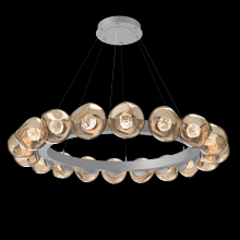 Hammerton CHB0095-48-CS-FB-CA1-L1 - Luna Radial Ring Chandelier