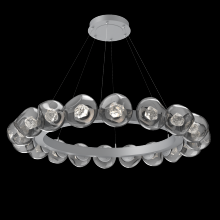 Hammerton CHB0095-48-CS-ZS-CA1-L1 - Luna Radial Ring Chandelier