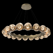 Hammerton CHB0095-48-GB-FB-CA1-L1 - Luna Radial Ring Chandelier