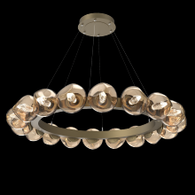 Hammerton CHB0095-48-GB-GB-CA1-L1 - Luna Radial Ring Chandelier