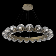 Hammerton CHB0095-48-GB-GS-CA1-L1 - Luna Radial Ring Chandelier