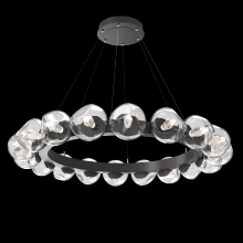 Hammerton CHB0095-48-GP-GC-CA1-L1 - Luna Radial Ring Chandelier