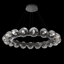 Hammerton CHB0095-48-GP-GS-CA1-L1 - Luna Radial Ring Chandelier