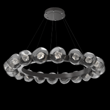 Hammerton CHB0095-48-GP-ZS-CA1-L1 - Luna Radial Ring Chandelier