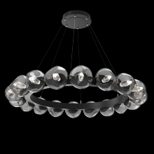 Hammerton CHB0095-48-MB-GS-CA1-L1 - Luna Radial Ring Chandelier