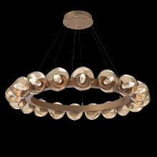 Hammerton CHB0095-48-NB-GB-CA1-L1 - Luna Radial Ring Chandelier