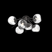 Hammerton CLB0095-02-GP-GC-L3 - Luna Flush Starburst