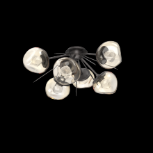 Hammerton CLB0095-02-GP-ZA-L1 - Luna Flush Starburst