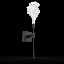 Hammerton IDB0059-21-MB-BC-L3 - Blossom Belvedere Sconce