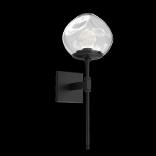 Hammerton IDB0095-03-MB-ZC-L3 - Luna Belvedere Sconce