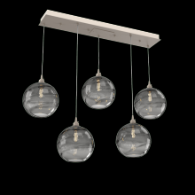 Hammerton PLB0047-05-BS-OS-C01-E2 - Terra Linear 5pc Multi-Pendant