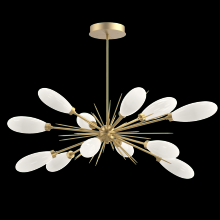 Hammerton PLB0071-0A-GB-WL-001-L3 - Fiori Oval Starburst Chandelier 50"