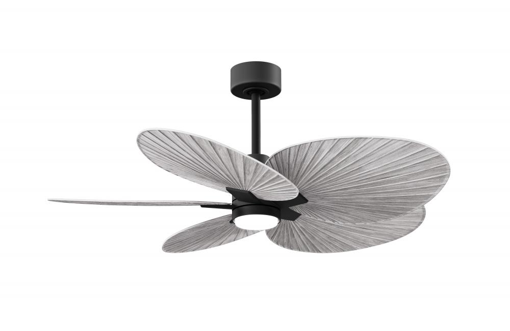 Alessandra Tropical 5-blade ceiling fan in Matte Black and Barn Wood Tone blades.