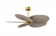 Matthews Fan Company AKTP-BRBR-GA - Alessandra Tropical 5-blade ceiling fan in Brushed Brass and Gray Ash Tone blades.