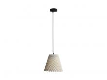 Golden 2419-14 WCT - Clarus - 14" LED Pendant