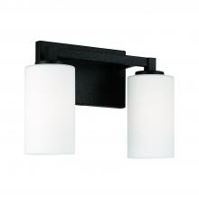 Capital 119821BI-545 - Ravenwood 2-Light Vanity