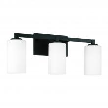 Capital 119831BI-545 - Ravenwood 3-Light Vanity