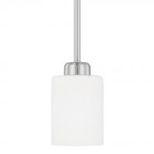 Capital 315211BN-338 - Dixon 1 Light Pendant