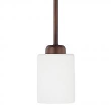 Capital 315211BZ-338 - Dixon 1 Light Pendant