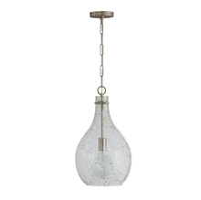 Capital 333813BN-472 - Rabun 1 Light Pendant