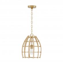 Capital 344111MA - Wren 1 Light Pendant