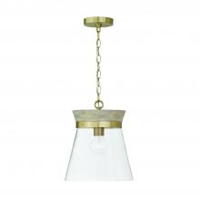 Capital 347311WS - Finn 1-Light Pendant