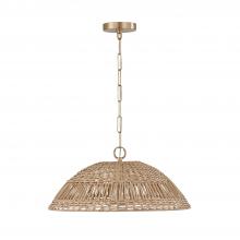 Capital 347511MA - Naomi 1-Light Small Pendant