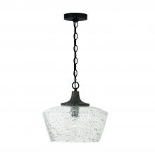 Capital 347611CK - Clive 1-Light Pendant