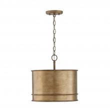 Capital 349211ML - Nole 1-Light Pendant