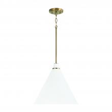 Capital 350112AW - Bradley 1-Light Pendant