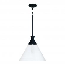 Capital 350311XK - Paloma 1-Light Pendant