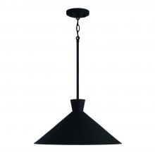 Capital 350312XK - Paloma 1-Light Pendant