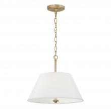 Capital 353231MA - Parson 3-Light Dual Mount Pendant