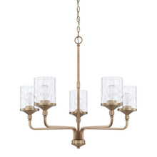 Capital 428851AD-451 - Colton 5 Light Chandelier