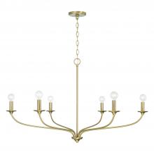 Capital 449961MA - Dolan 6-Light Chandelier