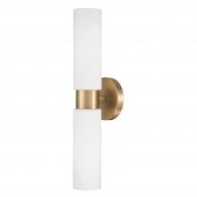 Capital 652621AD - Theo 2-Light Dual Linear Sconce Bath Bar in Aged Brass with Soft White Glass