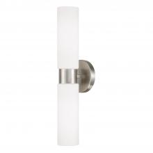 Capital 652621BN - Theo 2-Light Dual Linear Sconce Bath Bar in Brushed Nickel with Soft White Glass