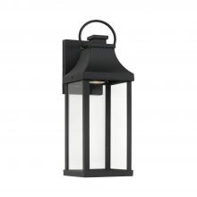 Capital 946411BK-GL - Bradford 1 Light Night Sky Outdoor Wall Lantern