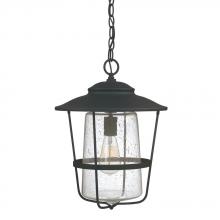 Capital 9604BK - Creekside 1 Light Outdoor Hanging Lantern