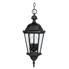 Capital 9724BK - Carriage House 3 Light Outdoor Hanging Lantern