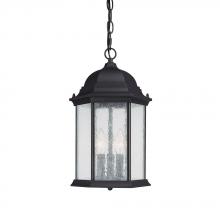 Capital 9836BK - Main Street 3 Light Outdoor Hanging Lantern