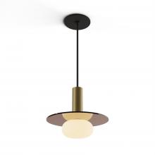 Koncept Inc CMP-S1-S-06-BRS+GTEA9+GLB - Combi Pendant 6&#34; Single Unit Brass with Matte Black Canopy, 9&#34; glass plate (Tea Brown) attac