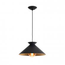 Regina Andrew 16-1430BLK - Viggo Pendant Small